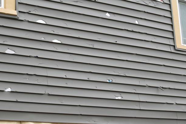 Best Scrap Metal Removal  in Gardnerville Ranchos, NV