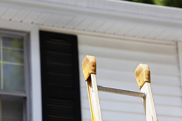 Best Shed Removal  in Gardnerville Ranchos, NV